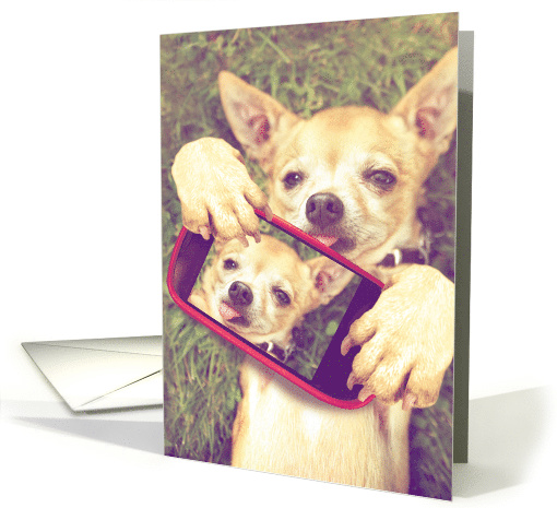 Funny Chihuahua Take Care of Your-Selfie Get Well Humor card (1334620)