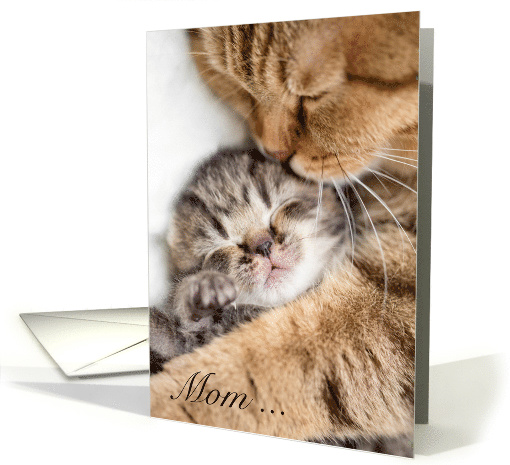 Mom Cat and Kitten Hugs for Mother's Day card (1334630)