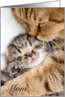 Mom Cat and Kitten Hugs for Mother’s Day card