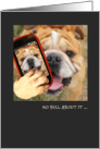 Paws-itively Happy Selfie No Bull Bulldog Thinking of You at College card