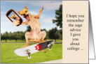 Skateboard Chihuahua Selfie Sage Advice at College card