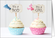 Boy Girl Twins for New Grandparent Cupcakes Pink Blue card