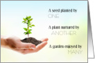 Small Beginnings Seed to Plant to Garden National Social Work Month card