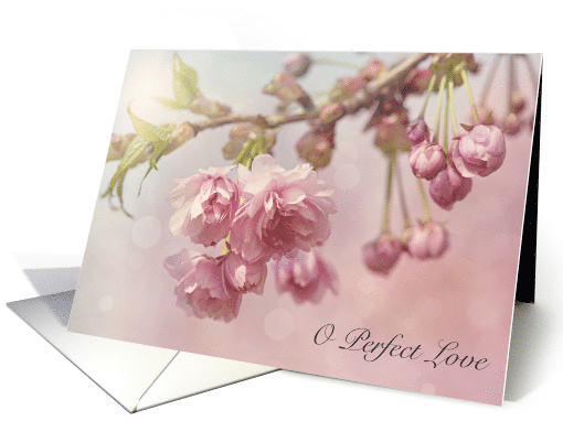 O Perfect Love Hymn Blush Cherry Blossoms Bokeh Photograph card