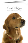 Patient Golden Retriever Dog Trick Treat Bone Encouragement card