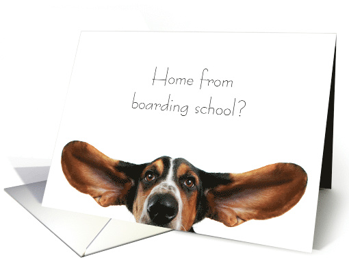 Basset Hound All Ears Welcome Home from Boarding School card (1364132)
