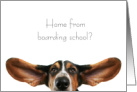 Basset Hound All Ears Welcome Home from Boarding School card