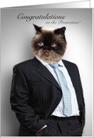 Fat Cat Job Promotion Congratulations Pin Stripe Suit card