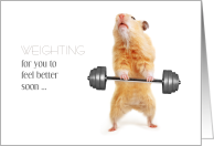 Feel Better Soon Punny Red Hamster with Barbell Weight Lifting card