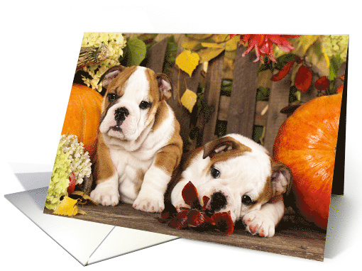 Puppies & Pumpkins Bulldog Puppies Welcome Fall card (1391990)