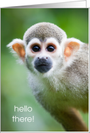 Cute Squirrel Monkey Hello There Blank Inside card