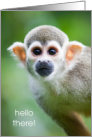 Cute Squirrel Monkey Hello There Blank Inside card