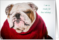 So Over the Holidays Cute Bulldog in Red Sweater card