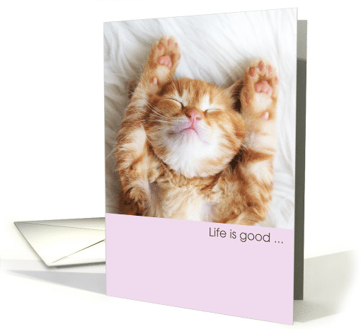 LIfe is Good Cute Napping Tabby Kitten when you Get to the Top card