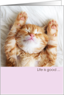 LIfe is Good Cute Napping Tabby Kitten when you Get to the Top card