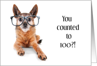 Congratulations Counting to 100 Funny Dog with Glasses Uses Tail card
