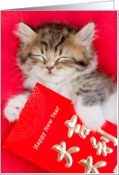 Cuteness Overload Kitten with Chinese New Year Red Envelopes card