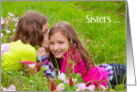Sisters are the Best Secret Keepers Thank you Little Girls Grass card