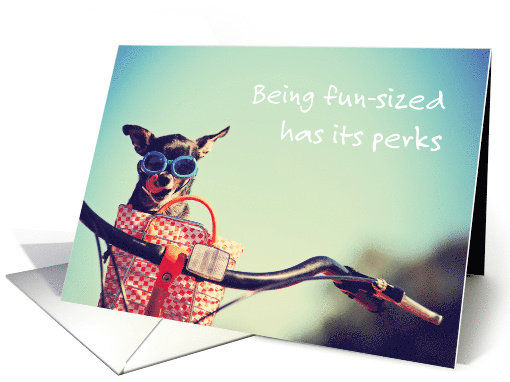 Petite & Proud Day Fun-Sized Chihuahua in Bike Basket May 4th card