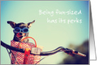 Petite & Proud Day Fun-Sized Chihuahua in Bike Basket May 4th card