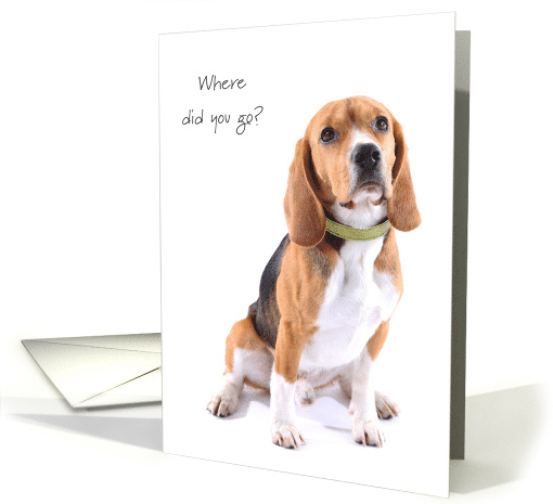 Beagle Thinking of You at College from Pet Dog Humor card (1449636)
