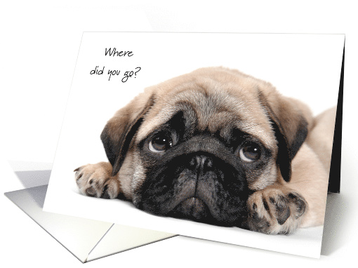 Pug Thinking of You at College from Pet Dog Humor card (1450836)