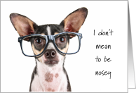 Buyer for Your Home Real Estate Inquiry Nosey Tri Chihuahua Dog card