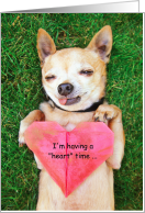 From Chihuahua Heart Time Missing Valentine away at College card