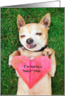 From Chihuahua Heart Time Missing Valentine away at College card