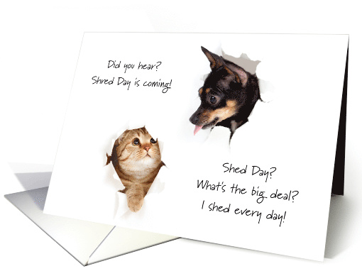 Shred Day Dog and Cat Shed Fur Humor No Hairballs card (1471878)