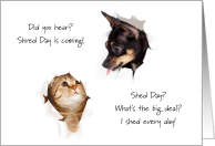 Shred Day Dog and Cat Shed Fur Humor No Hairballs card