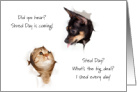 Shred Day Dog and Cat Shed Fur Humor No Hairballs card