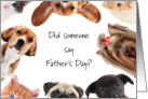 From Pets Father’s Day Best Dad to Pet Dogs & Cats from all of Us card