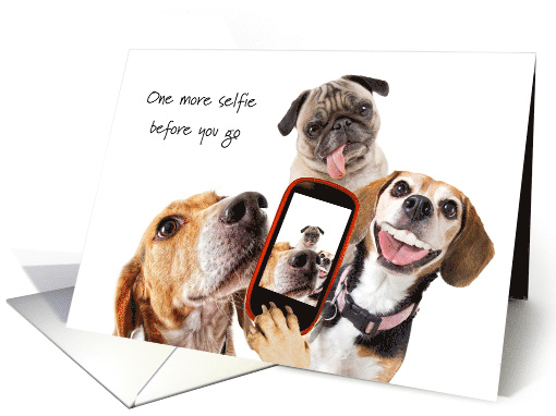 Friend Off to College Funny Dogs Selfie Picture Good Bye card