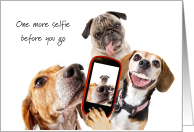 Friend Off to College Funny Dogs Selfie Picture Good Bye card