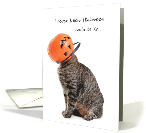 Cat Humiliated in Halloween Jack o'lantern bucket for... (1487432)