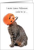Cat Humiliated in Halloween Jack o’lantern bucket for college student card