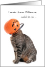 Cat Humiliated in Halloween Jack o’lantern bucket for college student card