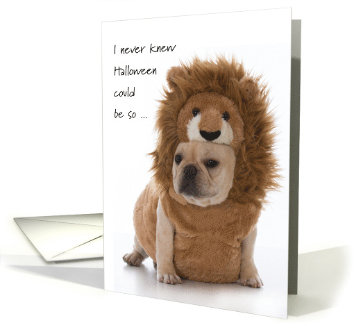College Student Halloween Lion Costume Indignant French Bull Dog card