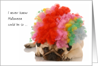 College Student Halloween Rainbow Afro Wig Indignant Pug Dog card