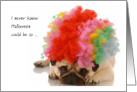 College Student Halloween Rainbow Afro Wig Indignant Pug Dog card