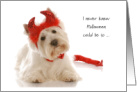 College Student Halloween Devil Costume White Westie Dog card