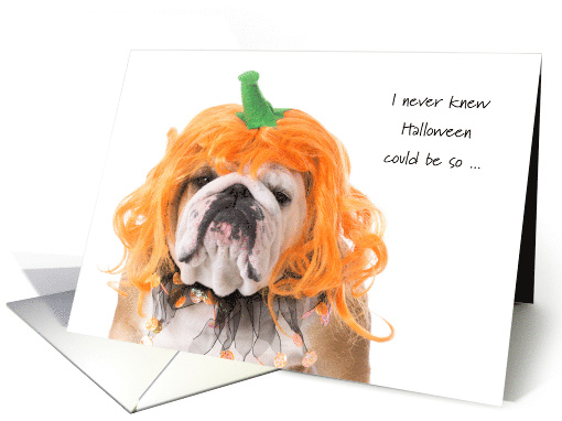 College Student Halloween Pumpkin Costume Indignant Bulldog card