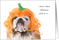 College Student Halloween Pumpkin Costume Indignant Bulldog card