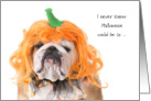 College Student Halloween Pumpkin Costume Indignant Bulldog card