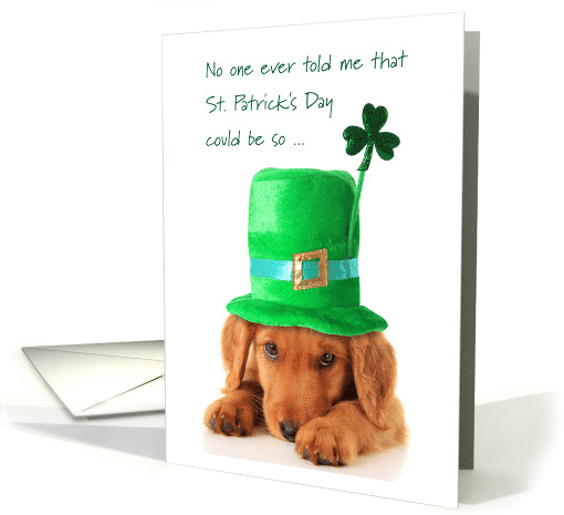 Humiliating St. Patrick's Day Golden Begs College Student... (1511074)