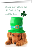 Humiliating St. Patrick’s Day Golden Begs College Student for Help card