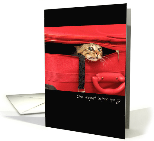 Moving Farewell Tabby Cat Stowaway in Luggage Take me... (1530550)
