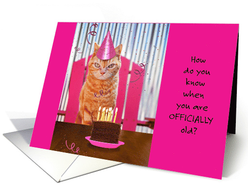 Tabby Cat Whiskers Outnumber Candles Birthday Pussy Humor for Her card