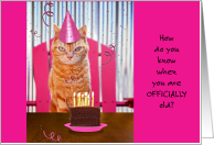 Tabby Cat Whiskers Outnumber Candles Birthday Pussy Humor for Her card